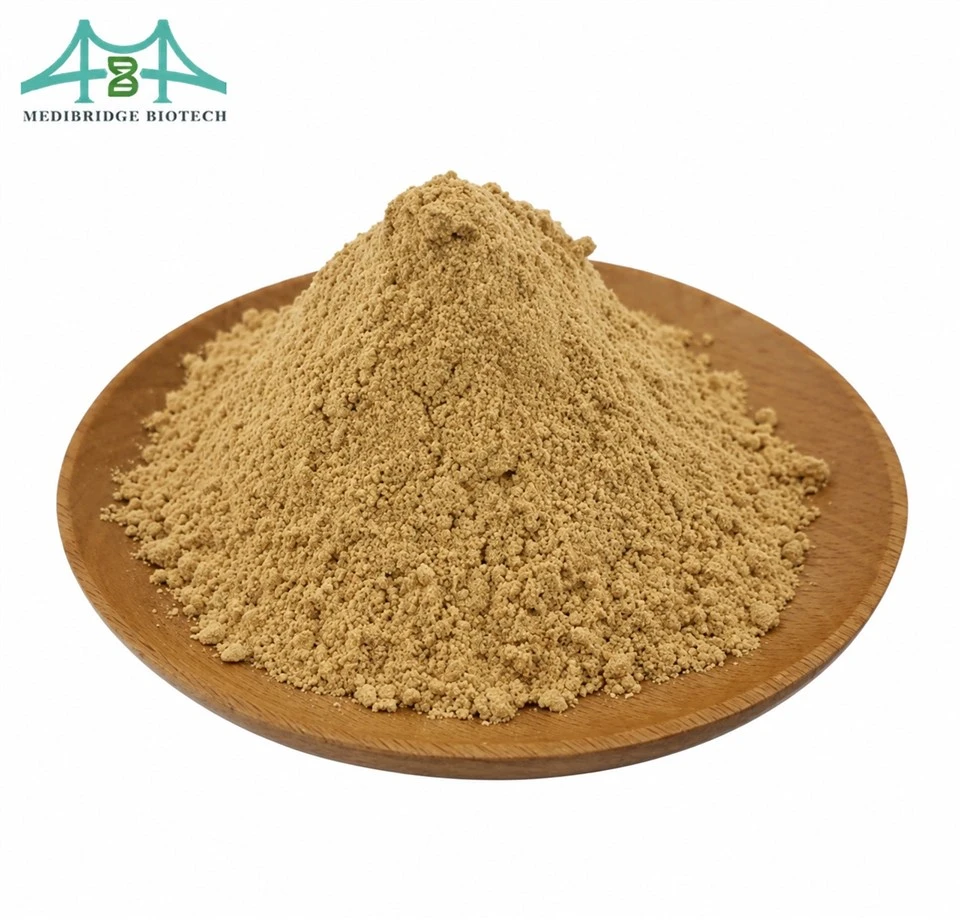 Hyperoside Powder